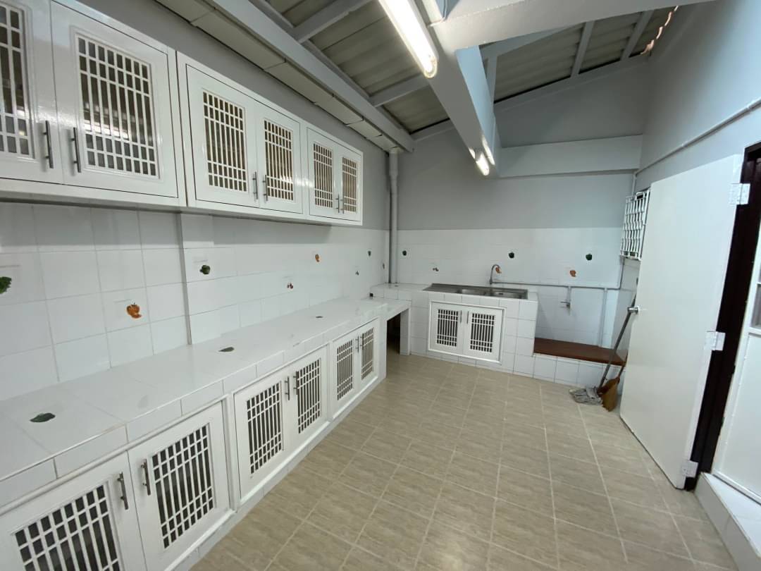 ขาย -ให้เช่า ทาวน์เฮ้าส์ เสตะนิเวศน์ กำนันเเม้น 7 ขนาด 28 ตรว ปรับปรุงใหม่ จอดรถสบาย ใกล้ตลาดพิบูลย์วิทย์