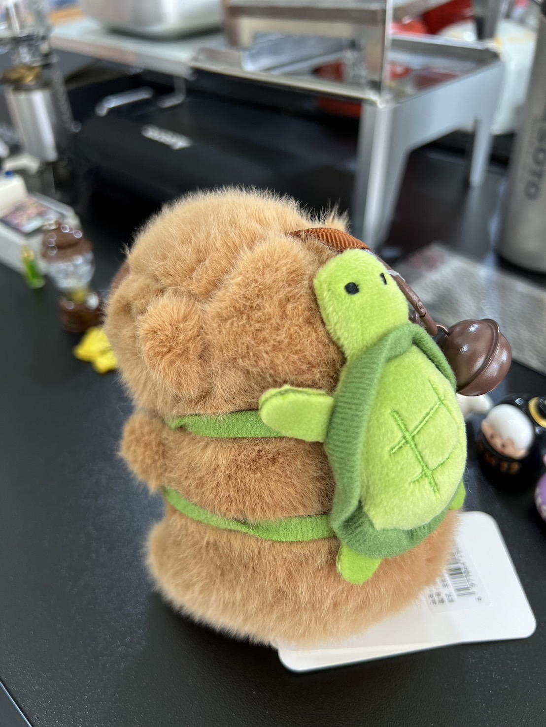 Capybara Jenny Turtle