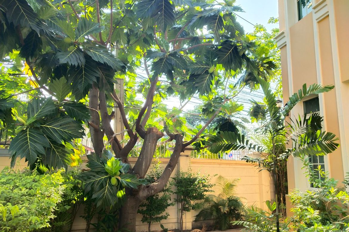 นาราสิริ สาทร-วงแหวน 129.2 ตร.ว. บ้านเดี่ยวหรูสไตล์อิตาเลียนจาก แสนสิริ บนทำเลศักยภาพ ริมถนนกาญจนาภิเษก เยื้องโรงเรียนเลิศหล้ากาญจนาภิเษก พื้นที่ใช้สอย : 320 ตร.ม. ห้องนอน : 4 ห้องน้ำ : 4 . ราคา : 14.5 ล้านบาท .