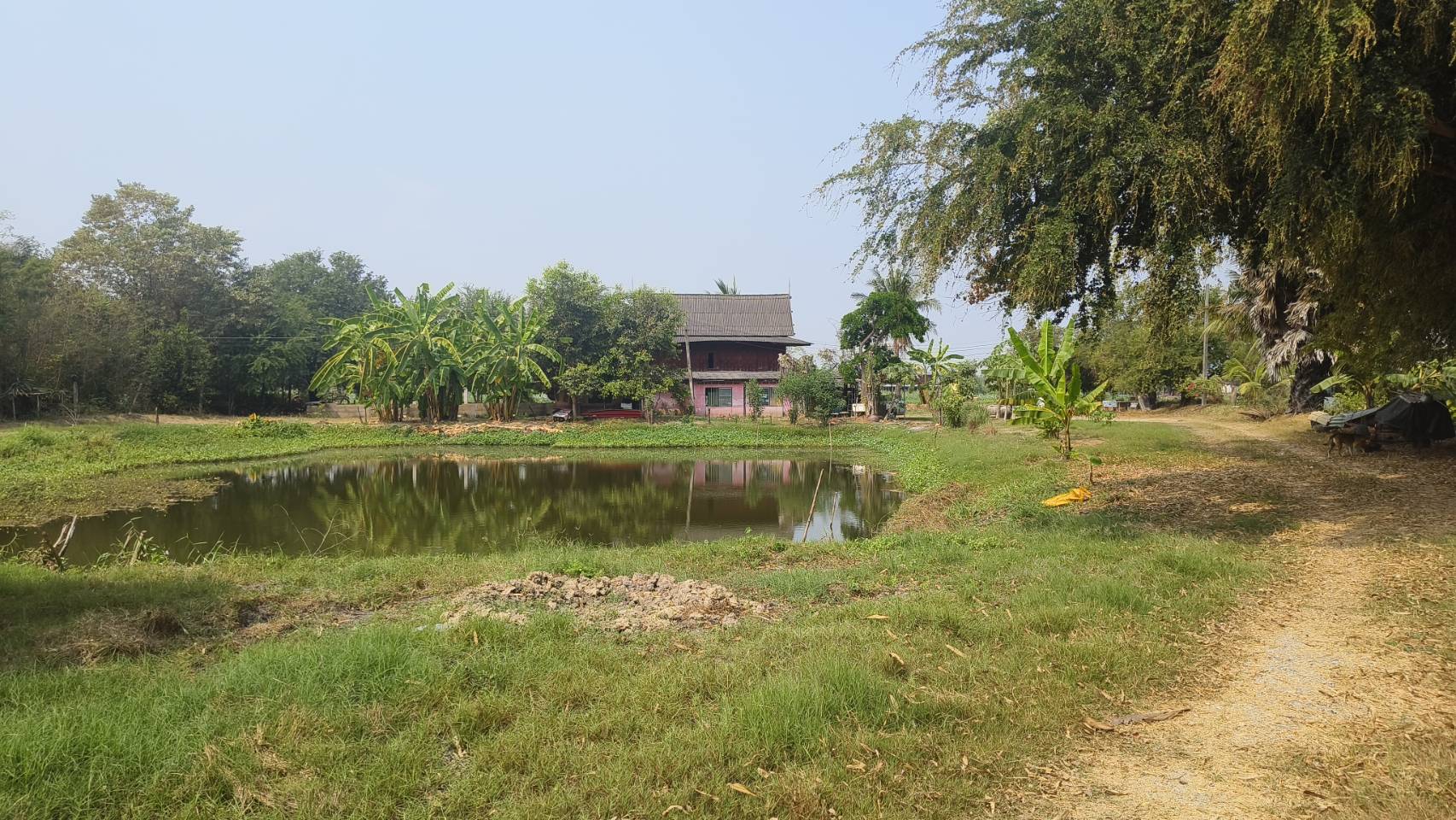 🌿 ขายด่วน! ที่ดินติดแม่น้ำ ทำเลทอง แหล่งท่องเที่ยว จ.นครปฐม 📍 บางระกำ บางเลน นครปฐม