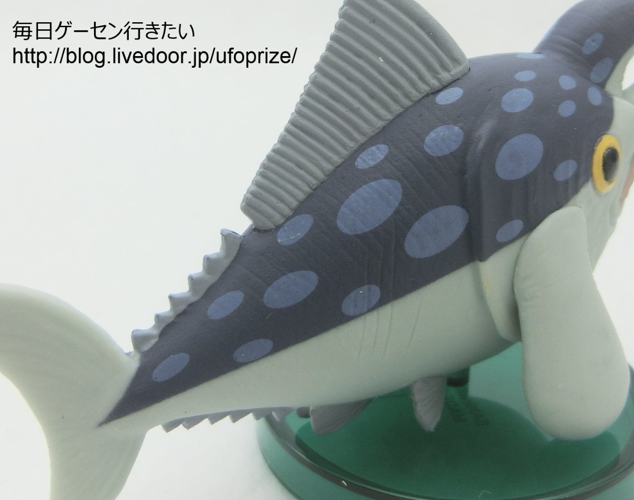 Blue Finned Elephant Tuna ของแท้ JP แมวทอง - WCF Banpresto [โมเดลวันพีช]