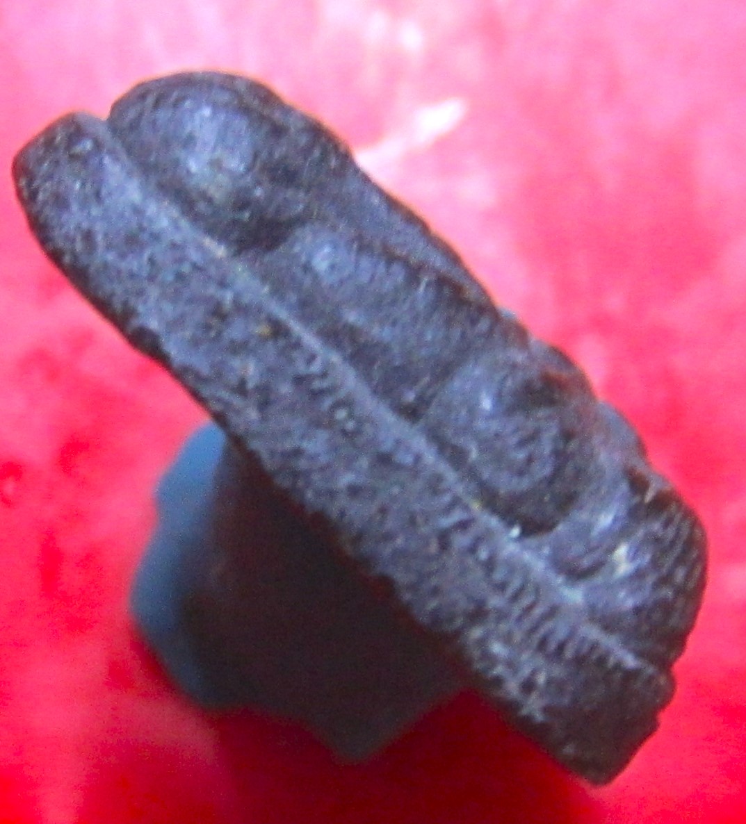 พระปิดตา เนื้อว่านเก่าฯฯ ไม่ทราบที่