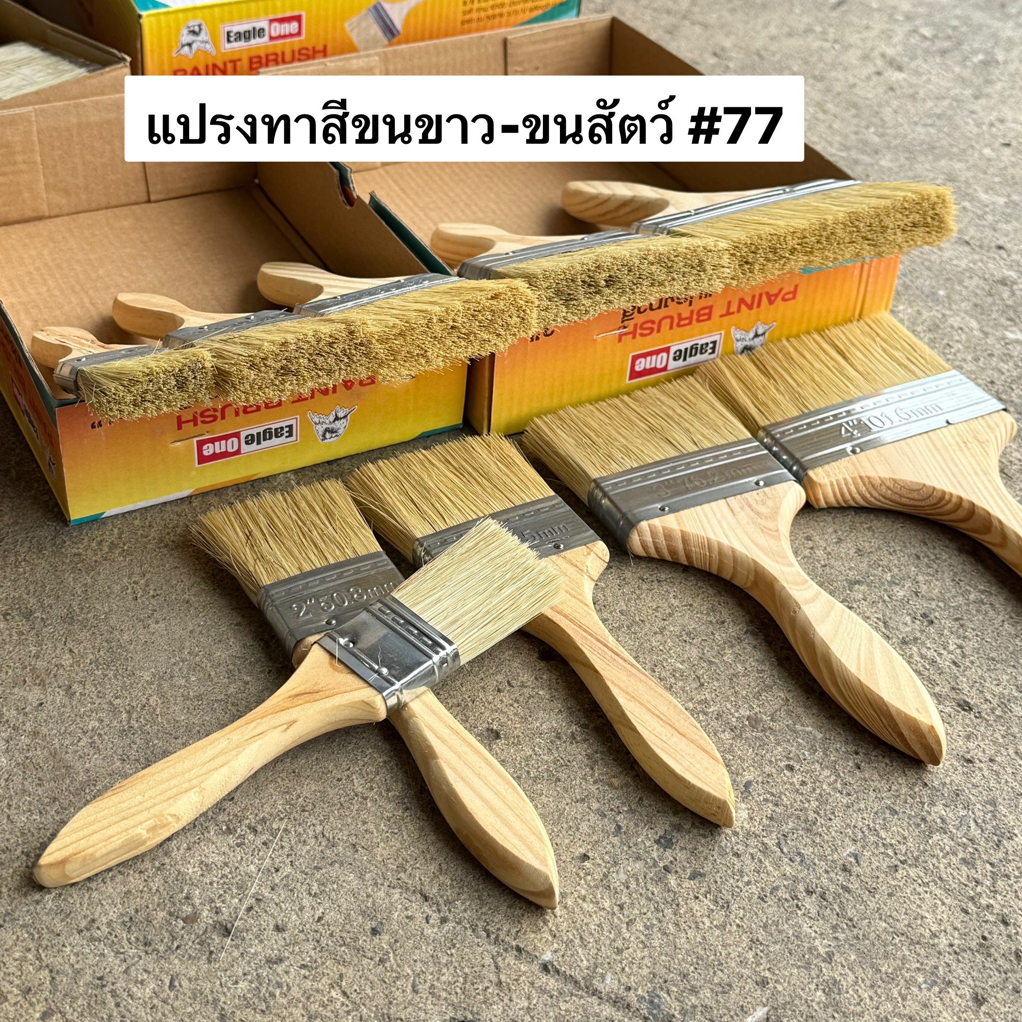 แปรงทาสีขนขาว 2นิ้ว EAGLE ONE #77 (โหล)