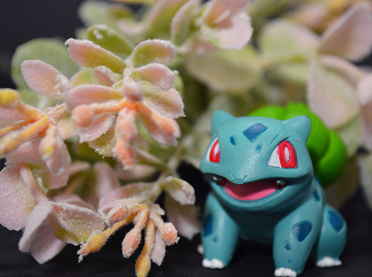 Bulbasaur ของแท้ JP - Monster Collection Takara Tomy [โมเดลโปเกมอน]