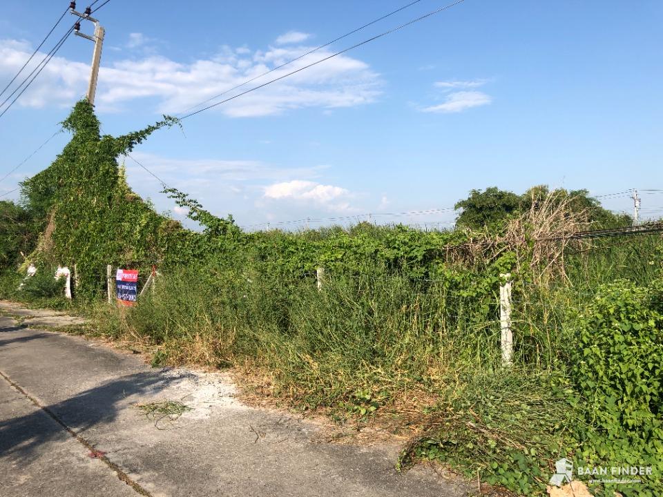 ที่ดิน ซอยเลียบวารี 35 ซอยธนบัตรชัย เนื้อที่ 100 ตารางวา แบ่งได้