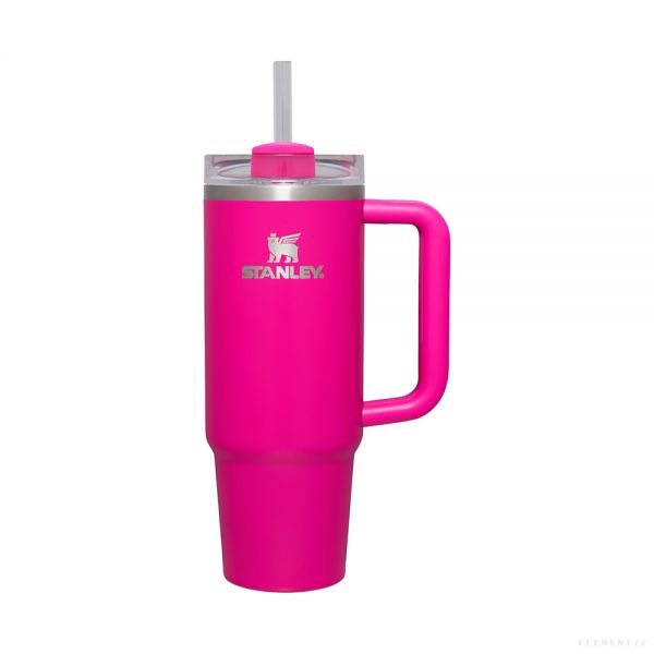 Adventure Quencher 2.0 TM Tumbler 30Oz Camelia