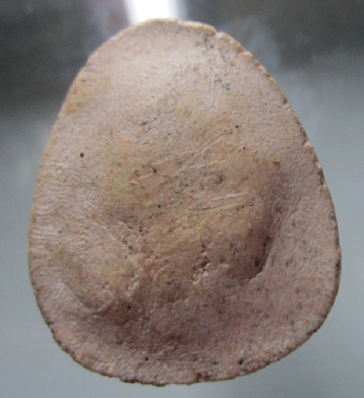 พระปิดตาสะดือจุน เนื้อผง ไม่ทราบที่