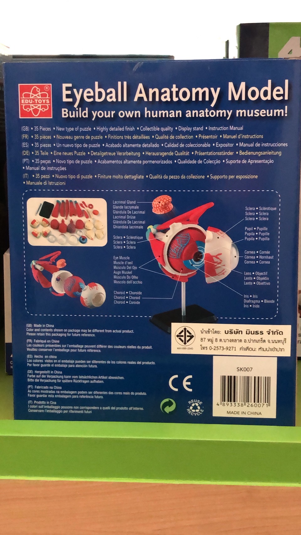 โมเดลตา ตาจำลอง , สื่อการสอน, ของเล่น วิทยาศาสตร์ ทดลอง,สื่อการสอนอนุบาล,ปฐมวัย, ,ของเล่นเสริมพัฒนาการ, ของเล่นเสริมทักษะ