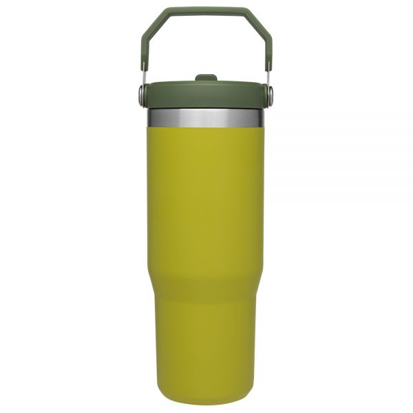 Classic Flip Straw Tumbler 30Oz Aloe