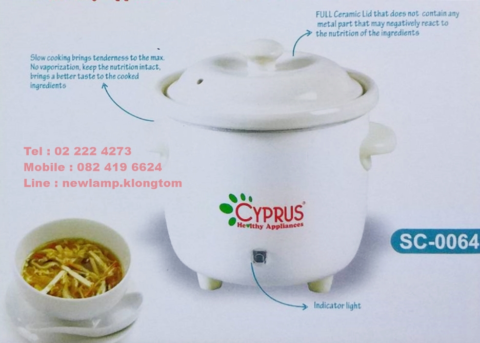 หม้อตุ๋น Slow cooker