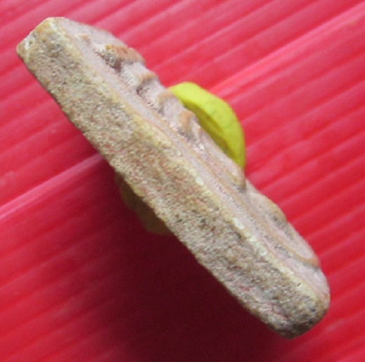 พระสมเด็จ หลวงพ่อทองอยู่ วัดดักคะนน จ.ชัยนาท ราคาพร้อมส่งแล้วครับผม