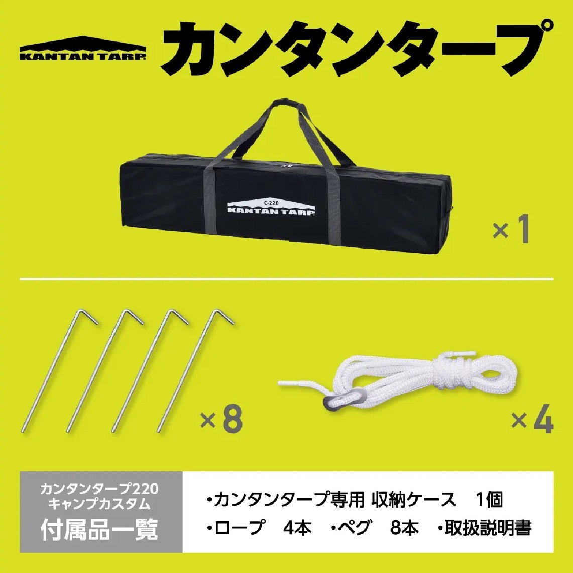 Camp Custom 220 Frame