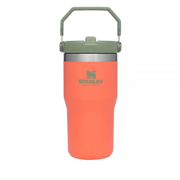 Classic Flip Straw Tumbler 20Oz Guava