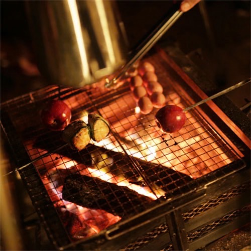 CM JP FirePlace Stainless