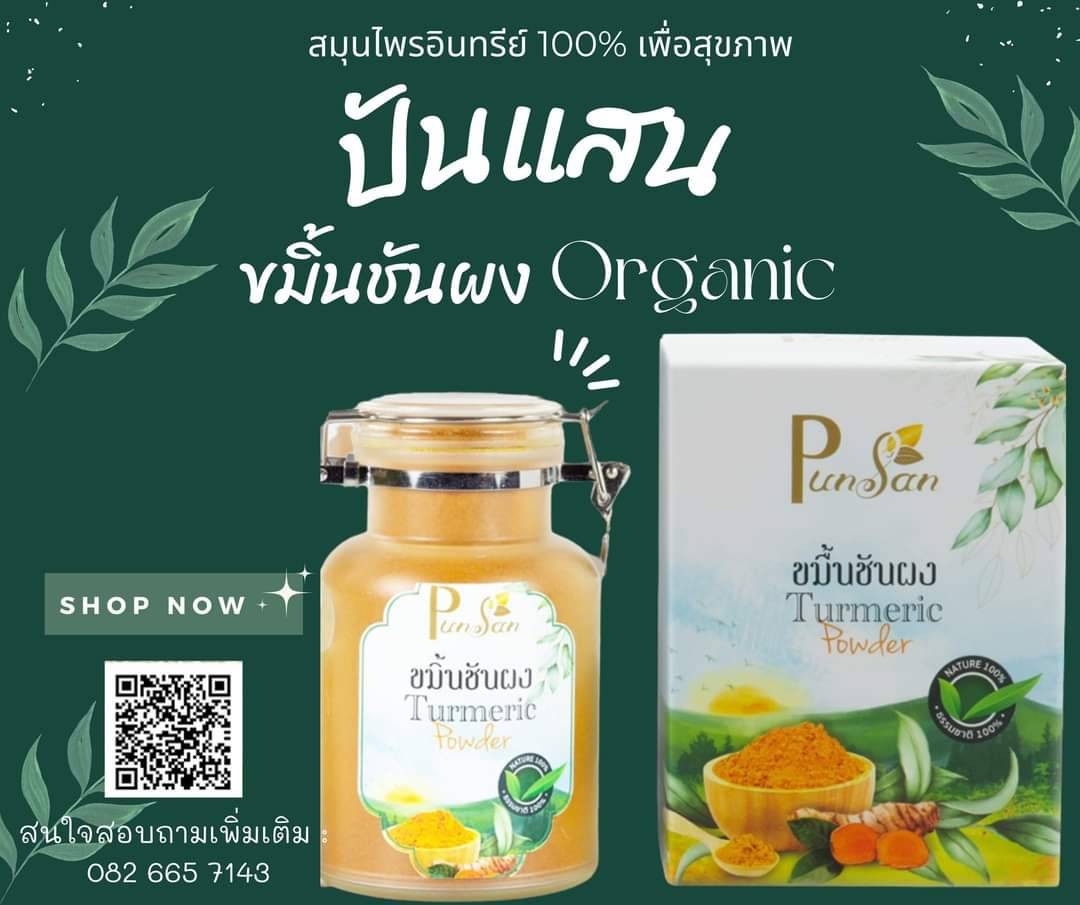ผงขมิ้นชันอินทรีย์ Tumeric Powder Organic