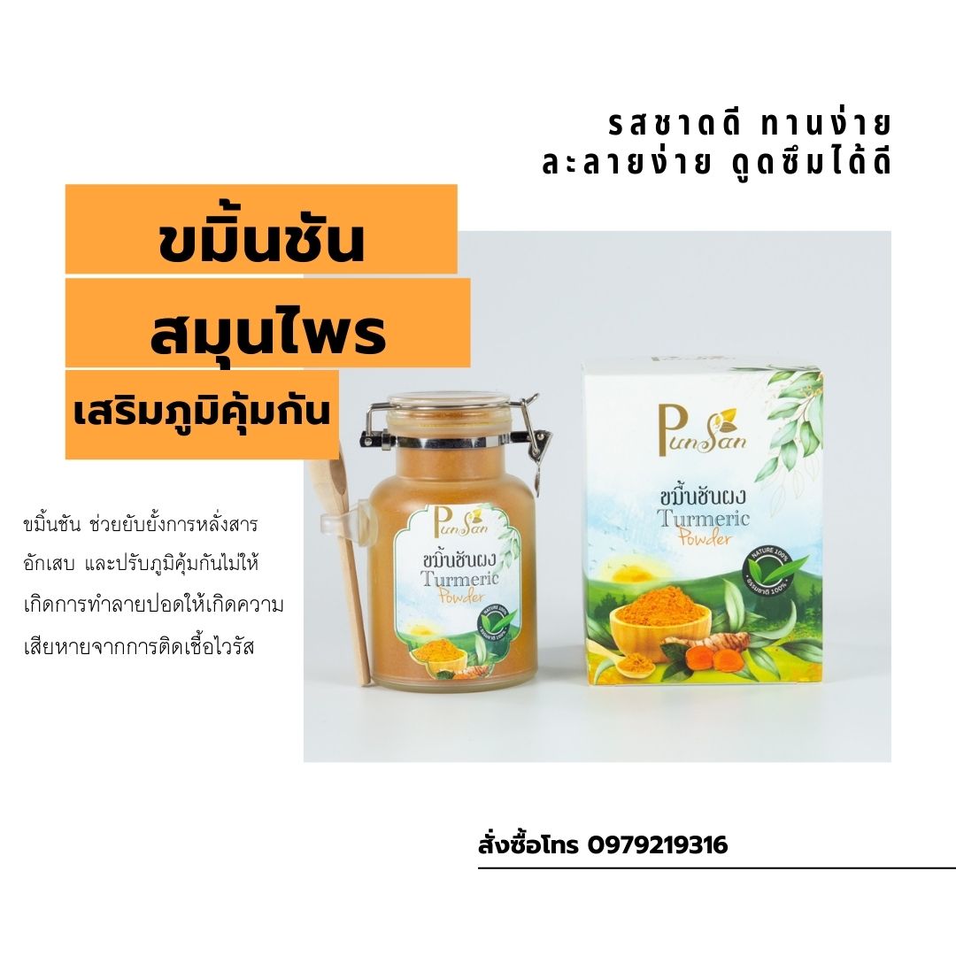 ผงขมิ้นชันอินทรีย์ Tumeric Powder Organic