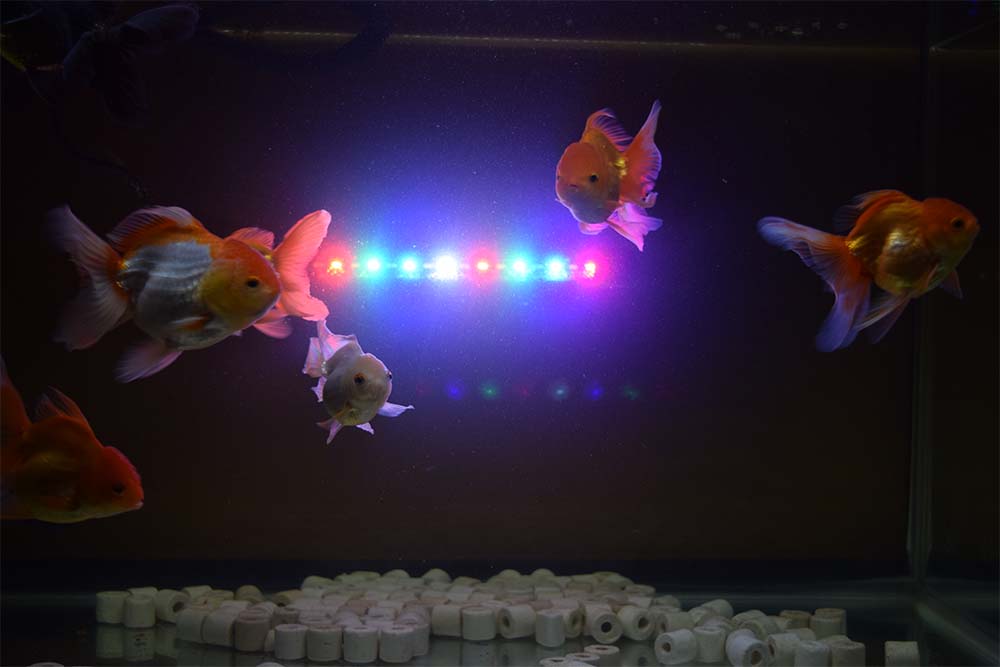 หลอดไฟ LED กันน้ำ ปรับไฟได้ 3 แบบ Deebow Dee-L15 กำลัง 4 วัตต์ ใช้กับตู้ขนาด 30-40 ซม. / 12-16 นิ้ว