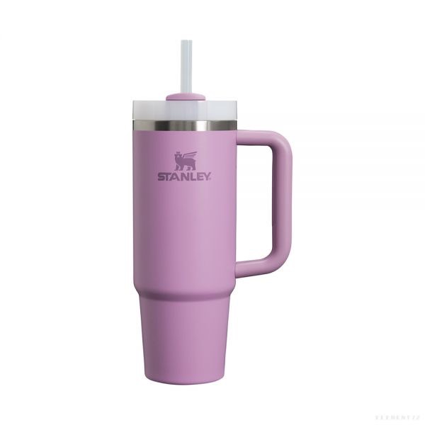 Adventure Quencher 2.0 TM Tumbler 30Oz Lilac