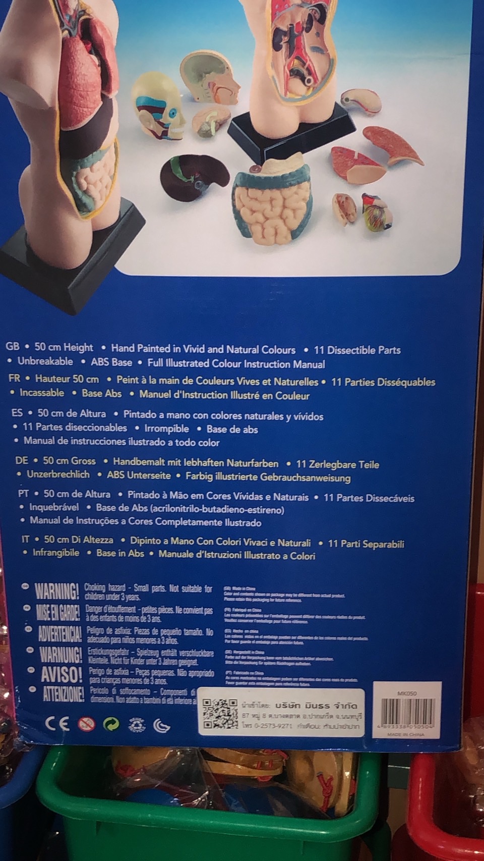 ร่างกายจำลอง โมเดลร่างกาย ขนาด 20 นิ้ว,สื่อการสอนอนุบาล,ปฐมวัย, ,ของเล่นเสริมพัฒนาการ, ของเล่นเสริมทักษะ สื่อการสอน วิทยาศาสตร์