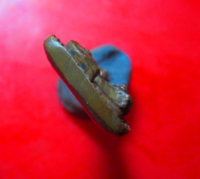 เหรียญหล่อจอบใข่ปลา รูปเหมือนหลวงพ่อ หลัง ยันต์ พระแท้ไม่ทราบที่ เนื้อทองแดง