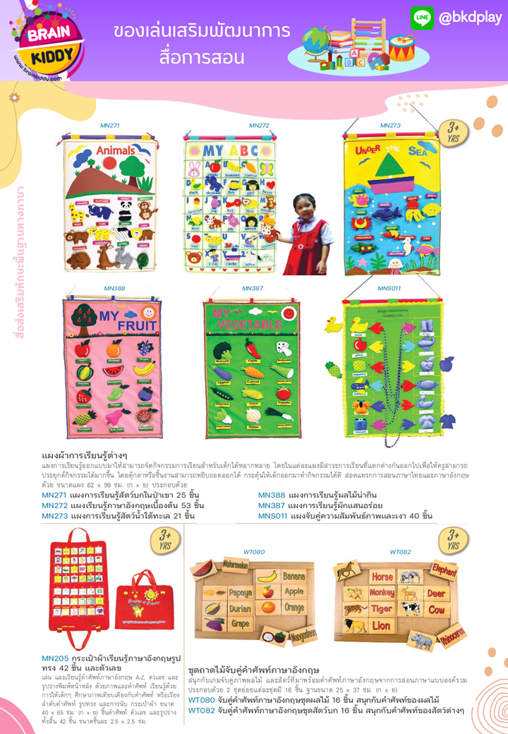 cattalog แคตตาล็อก สื่อการสอนทุกวิชา งานนำเข้า และอื่นๆ ของเล่นฝึกสมอง ฝึกไอคิว