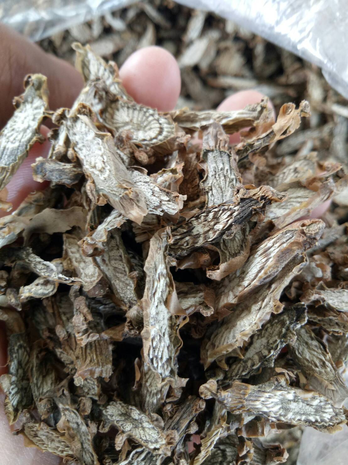 บอระเพ็ดชิ้นตากแห้งหั่นเเว่น (กิโลกรัม 250 บาท)