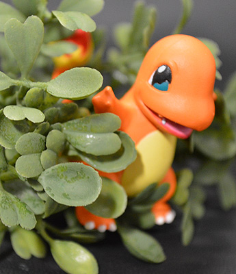 Charmander ของแท้ JP - Monster Collection Takara Tomy [โมเดลโปเกมอน]