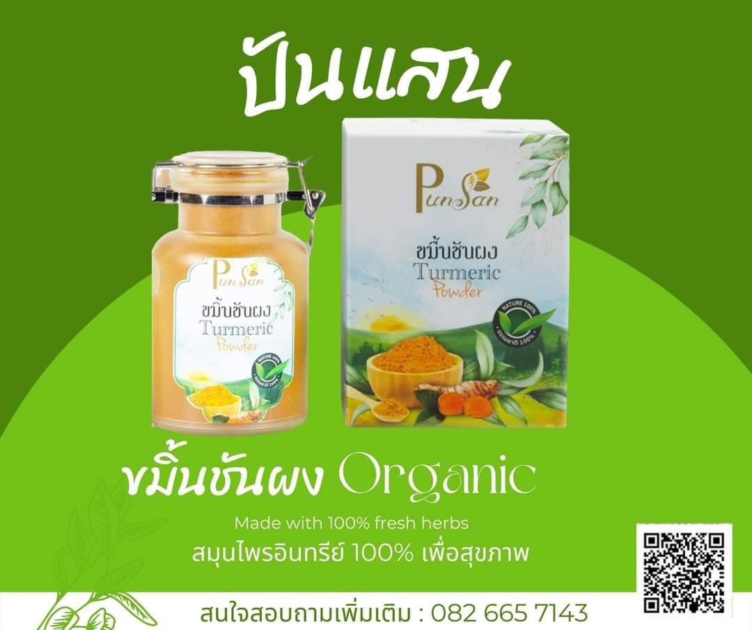 ผงขมิ้นชันอินทรีย์ Tumeric Powder Organic