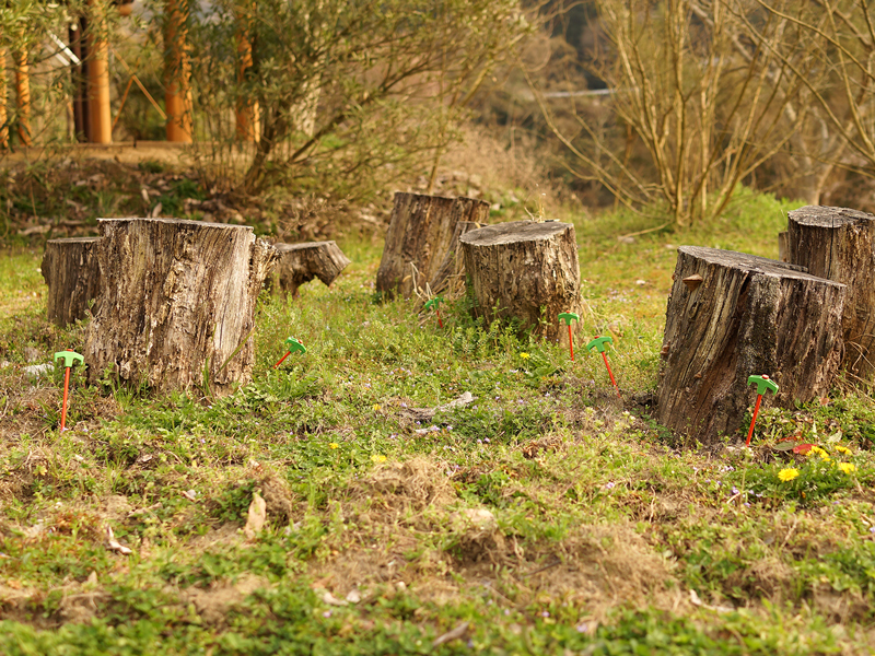 DoD Carrot Peg PG1-573-OR