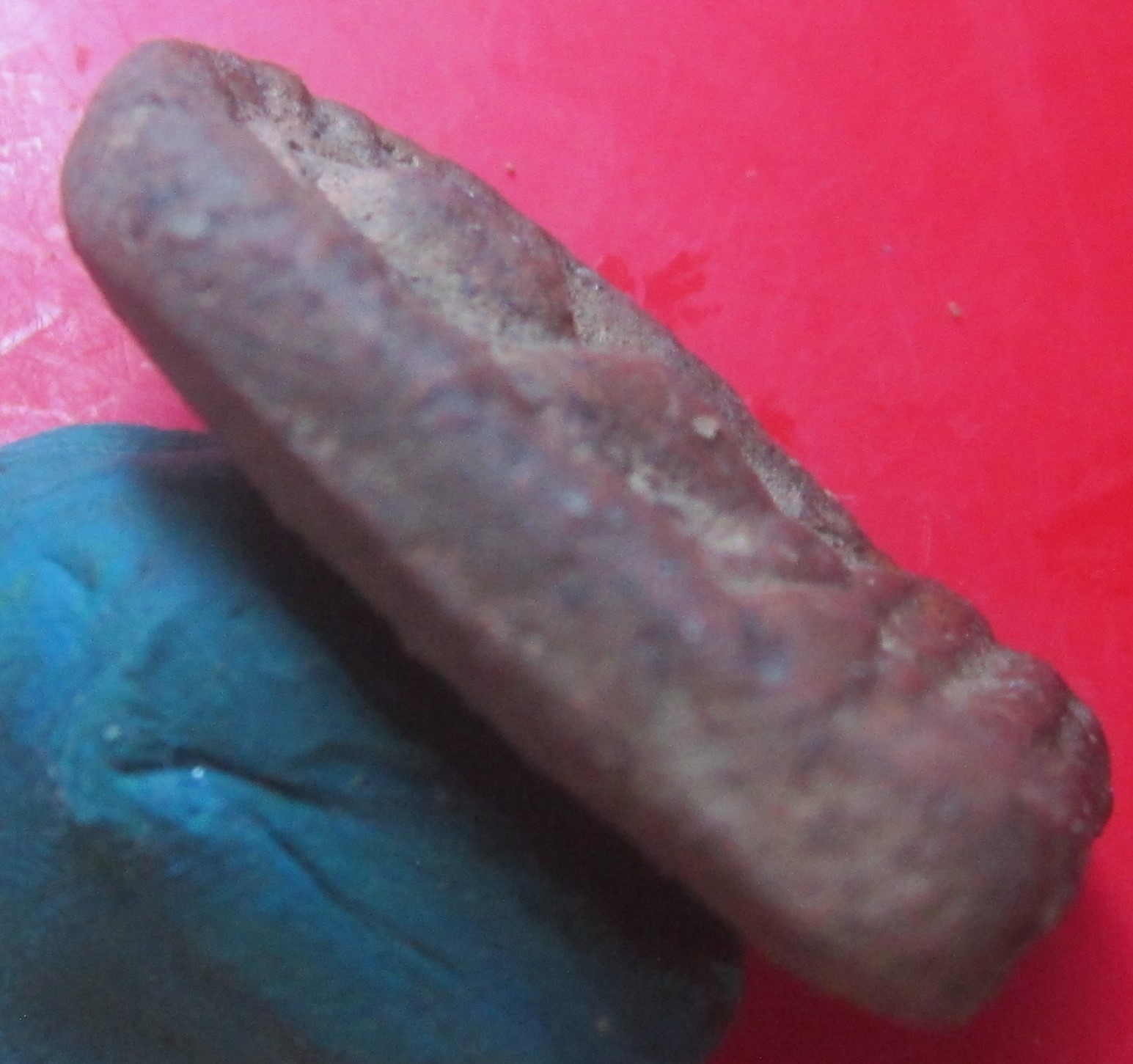 พระซุ้มกอเนื้อดิน พระเกจิไม่ทราบที่