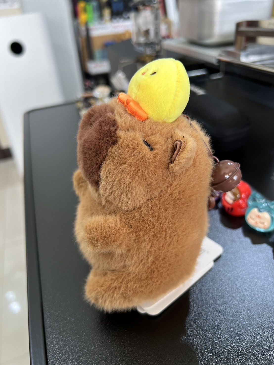 Capybara Jenny Chick
