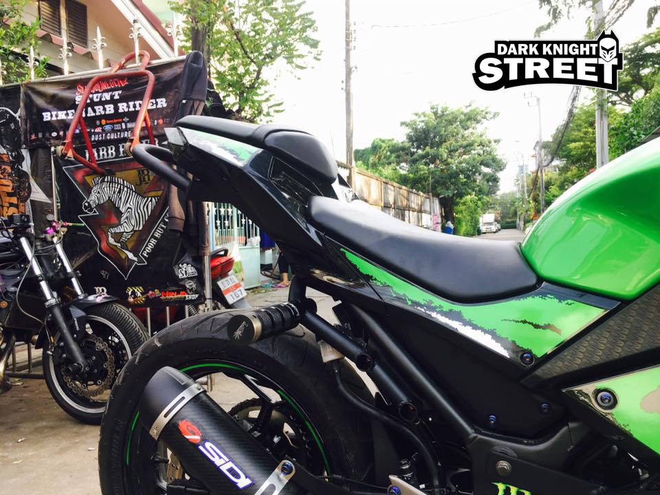 Kawasaki Ninja300/250 , Z300/250 Tail Round bar