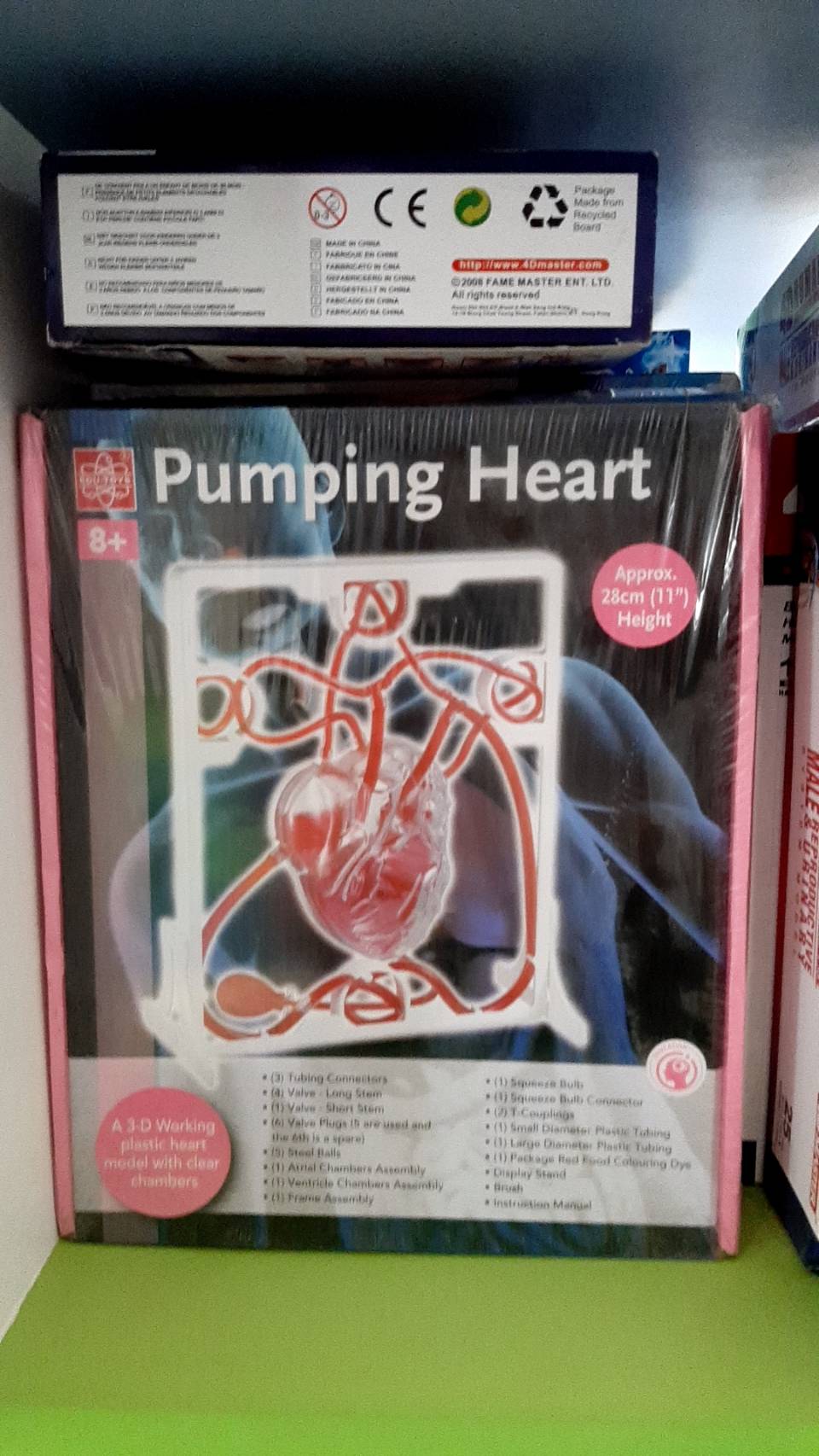 หุ่นจำลองระบบหัวใจ Pumping Heart ,ของเล่นเสริมพัฒนาการ, ของเล่นเด็กอนุบาล, สื่อการสอนเด็กอนุบาล