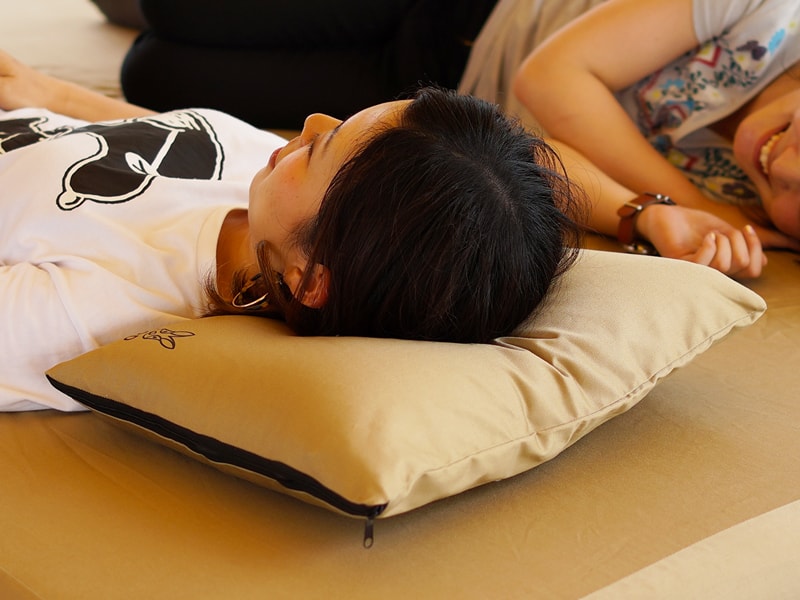 DoD Sotone no Makura pillow CP1-654-TN