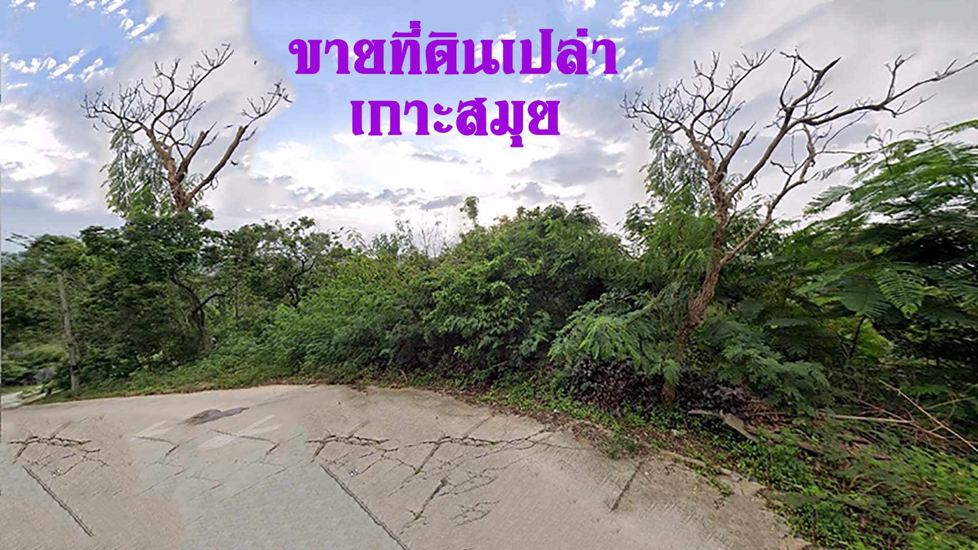 ที่ดินเปล่า ที่ดินติดถนน ขนาด 2 ไร่ เกาะสมุย ที่ดินเปล่า ที่ดินติดถนน ขนาด 2 ไร่ เกาะสมุย