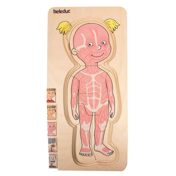 ชุดเกมบล็อกไม้ร่างกายเด็กหญิง สื่อการสอนอนุบาล,ปฐมวัย,ของเล่นเสริมพัฒนาการ, ของเล่นเสริมทักษะ