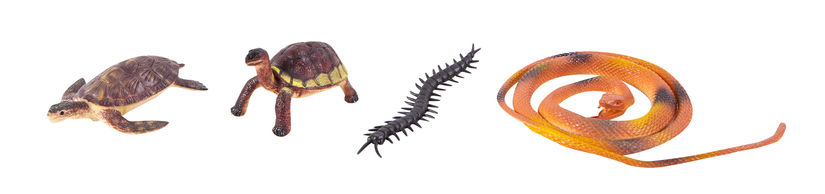 สัตว์เลื้อยคลานจำลอง , ของเล่นเสริมพัฒนาการ, ของเล่นเด็กอนุบาล, สื่อการสอน