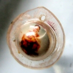 ลูกอมติดรูปภาพ หลวงพ่อคูณ วัดบ้านไร่ จ.นครราชสีมา