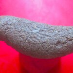 สาริกาเดียว เนื้อว่าน ไม่ทราบที่