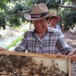 คลิปวีดีโอจริงขั้นตอนการผลิต รวงผึ้ง จากฟาร์มผึ้งสายัณห์ Sayan Honey Farm's Honeycomb