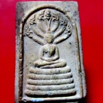 พระสมเด็จ พระนาคปรก หลวงพ่อรวย วัดตะโก อ.ภาชี จ.อยุธยา สภาพพอสวย