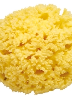 100% Mediterranean Natural Sea Sponge Size XL (16 cm)