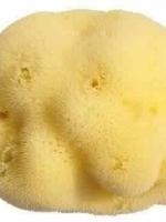 100% Mediterranean Natural Sea Sponge Size S (9 cm)