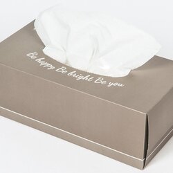 กระดาษเช็ดหน้า [RIVER PROS] แบบแผ่น 170 แผ่น/กล่อง