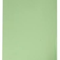 แฟ้มพับหนา [BAIPO] A4 เขียว