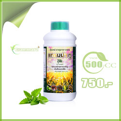 ปุ๋ยน้ำ แกรมม่าทู 500cc ราคา