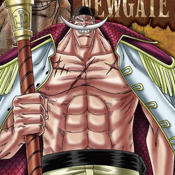 Whitebeard ของแท้ JP แมวทอง - Jigsaw Puzzle Ensky [จิ๊กซอว์วันพีช]