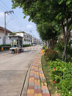 เช่าแล้ว* ให้เช่าทาวน์โฮม 3 ชั้น หมู่บ้านซิกเนเจอร์ เพชรเกษม 69 เนื้อที่ 17.1 ตารางวา 3นอน 3น้ำ