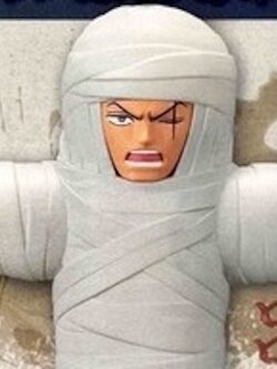 Zoro Wano ของแท้ JP แมวทอง - WCF Banpresto [โมเดลวันพีช]