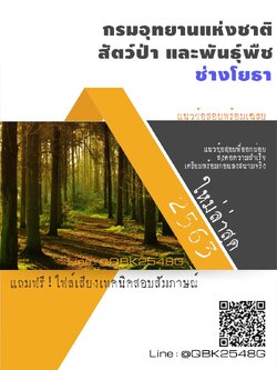 สรุปแนวข้อสอบ ช่างโยธา กรมอุทยานแห่งชาติสัตว์ป่าและพันธุ์พืช พร้อมเฉลย